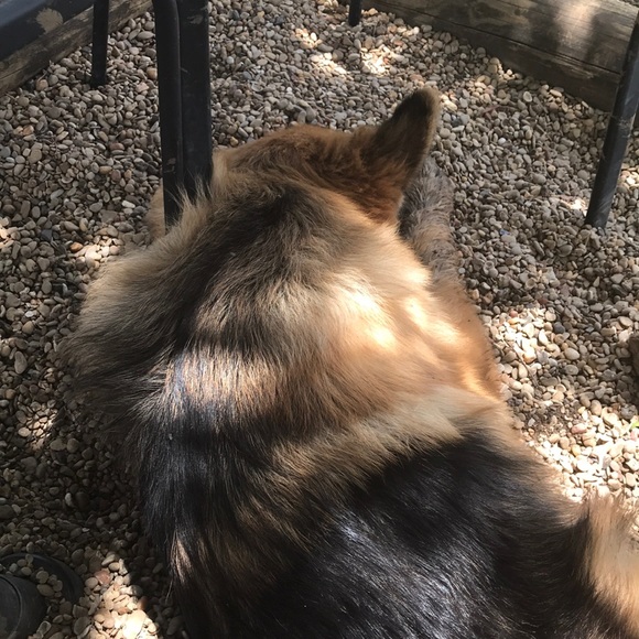 Meet your Posher, Carey - Picture 1 of 1